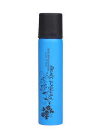 Perfect Spray VOC55 100ml ||| 完美環保強力噴髮膠